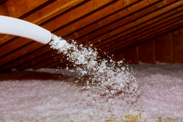 Best Attic Insulation Installation  in Greenwood, LA